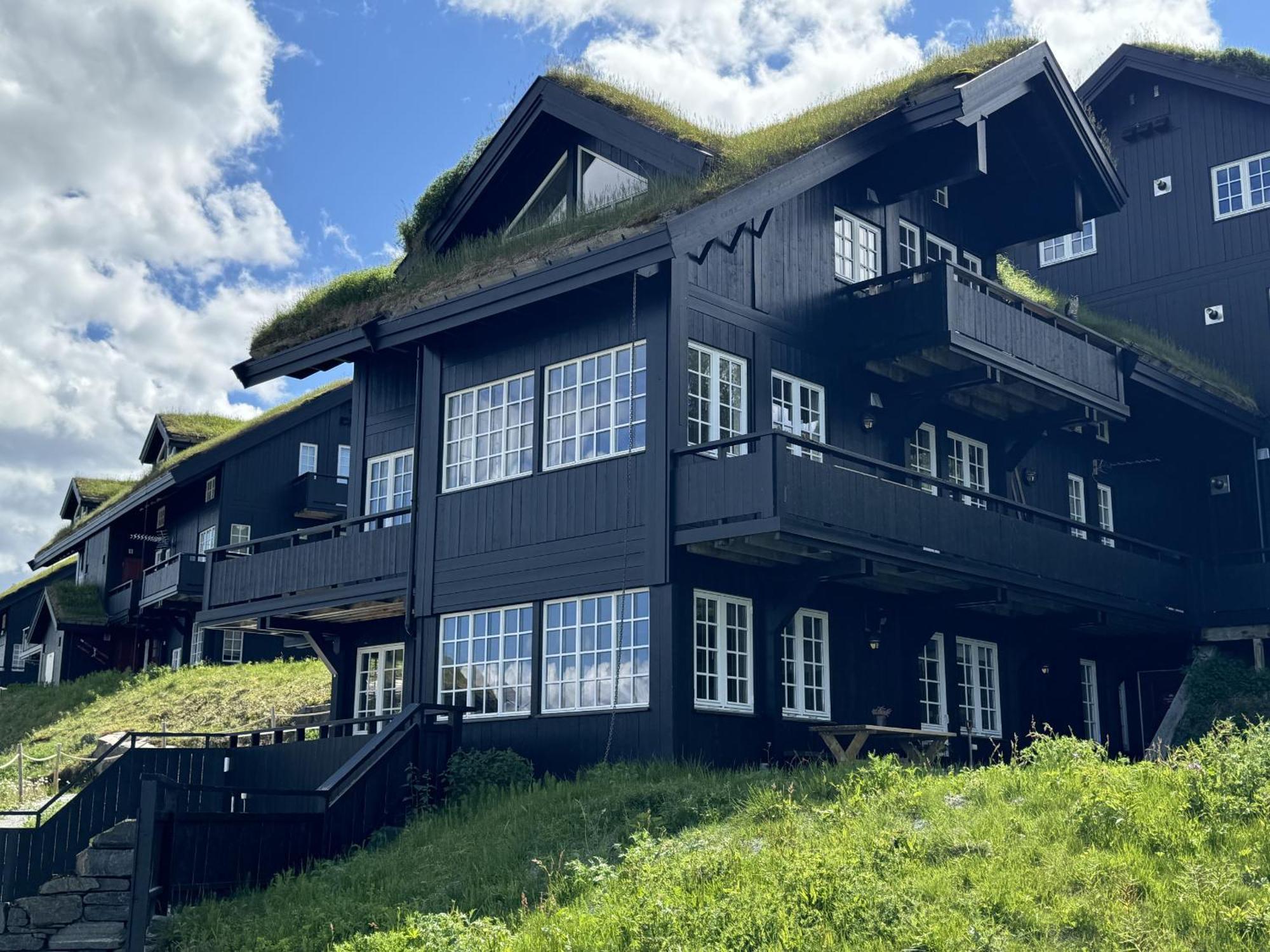 Apartment Geilo-kikut, Ski-in, Ski-out With Stunning Trails And Perfect Location