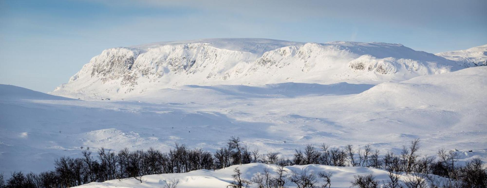 Geilo-kikut, Ski-in, Ski-out With Stunning Trails And Perfect Location Geilo